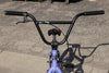 Sunday Scout (Matte Blue Lavender with 21" tt)